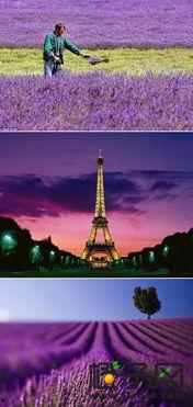 色一色国产,探寻东方色彩艺术的瑰宝